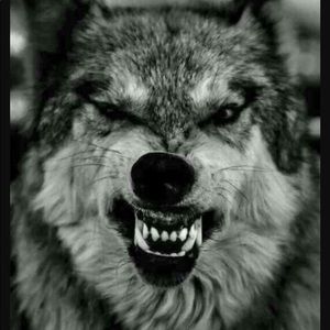 Meet your Posher, Raul